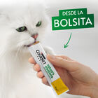 Gourmet Nature’s Creations Snack Húmedo de Pollo para gatos, , large image number null